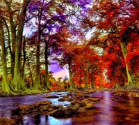 Vibrant Autumn Reflections in a Forest Stream