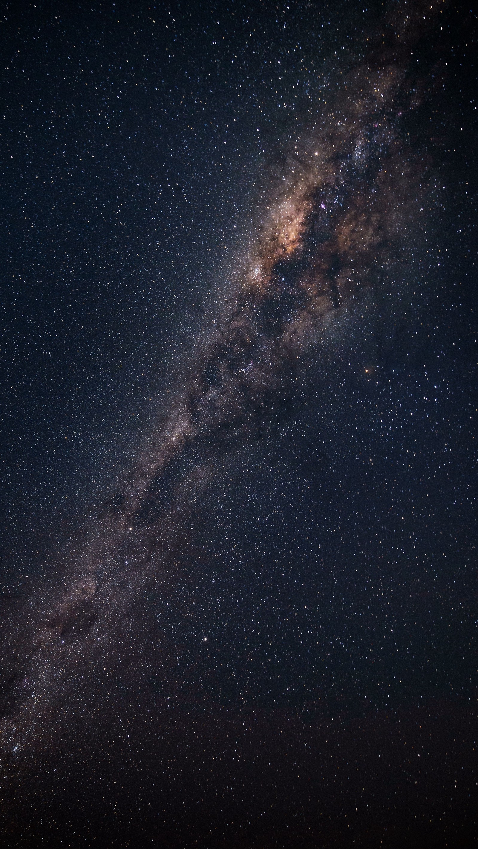 Via láctea no céu noturno com estrelas e uma árvore solitária (abej, astronomia, beograd, galáxia, leitoso)