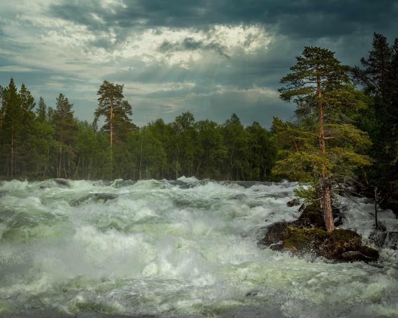 Большое водоём с деревьями на заднем плане (природа, норвегия, облако, вода, дерево)