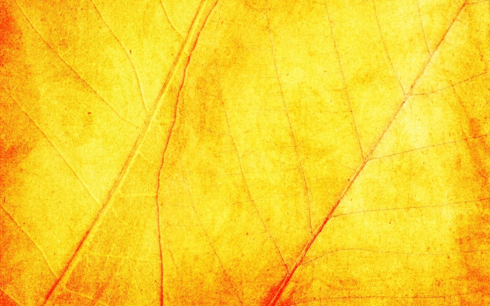 A close up of a leaf with a yellow background (texture, yellow, leaf, maple leaf, autumn)