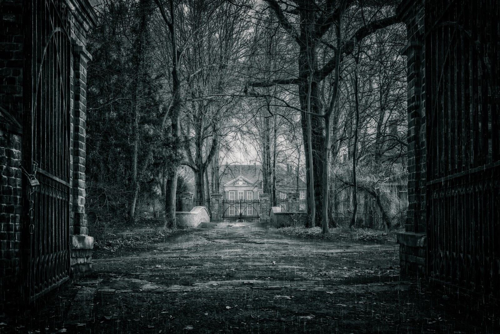 Ein schwarz-weiß foto eines tores in einem dunklen wald (schwarz, natur, baum, naturumgebung, atmosphäre)