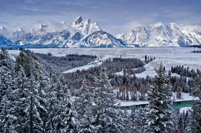 grand teton nationalpark, grand teton, nationalpark, park, berg