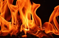 flame, fire, orange, brewery, party wallpaper