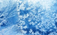 blue, frost, freezing, winter, snow wallpaper