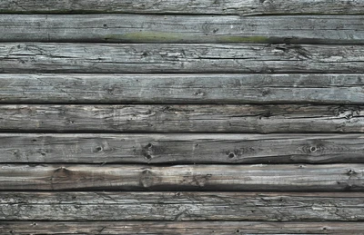 wand, kofferraum, steinmauer, holz, baum