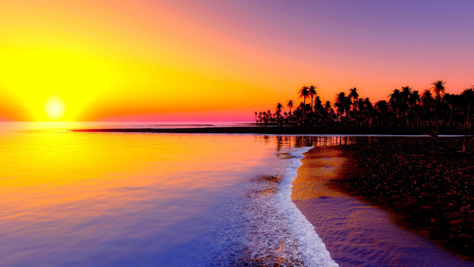 Una vista de una playa con palmeras y una puesta de sol (atardecer, playa, horizonte, amanecer, mar)