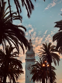 Torre icônica emoldurada por palmeiras ao pôr do sol