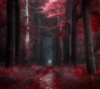 Sendero de otoño encantado a través del bosque de tonos rojos