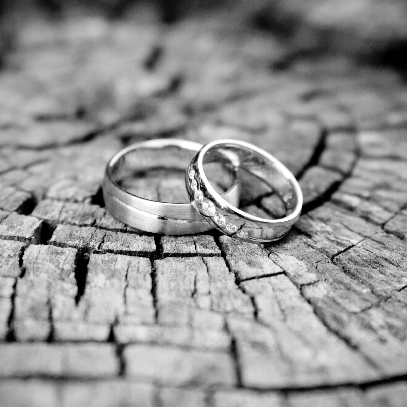 Two wedding rings sitting on a piece of wood (background, gold, love, rings, romantic)