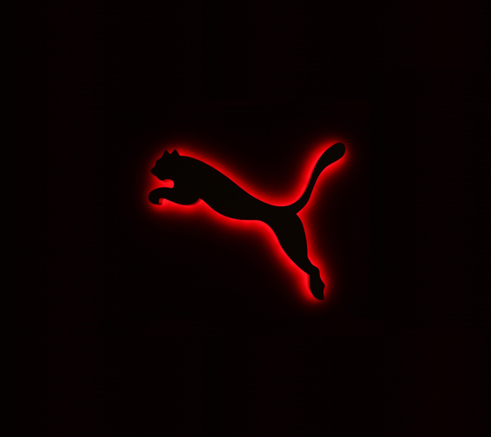 Un gros plan d'un chat silhouetté sur un fond noir (logo, puma)