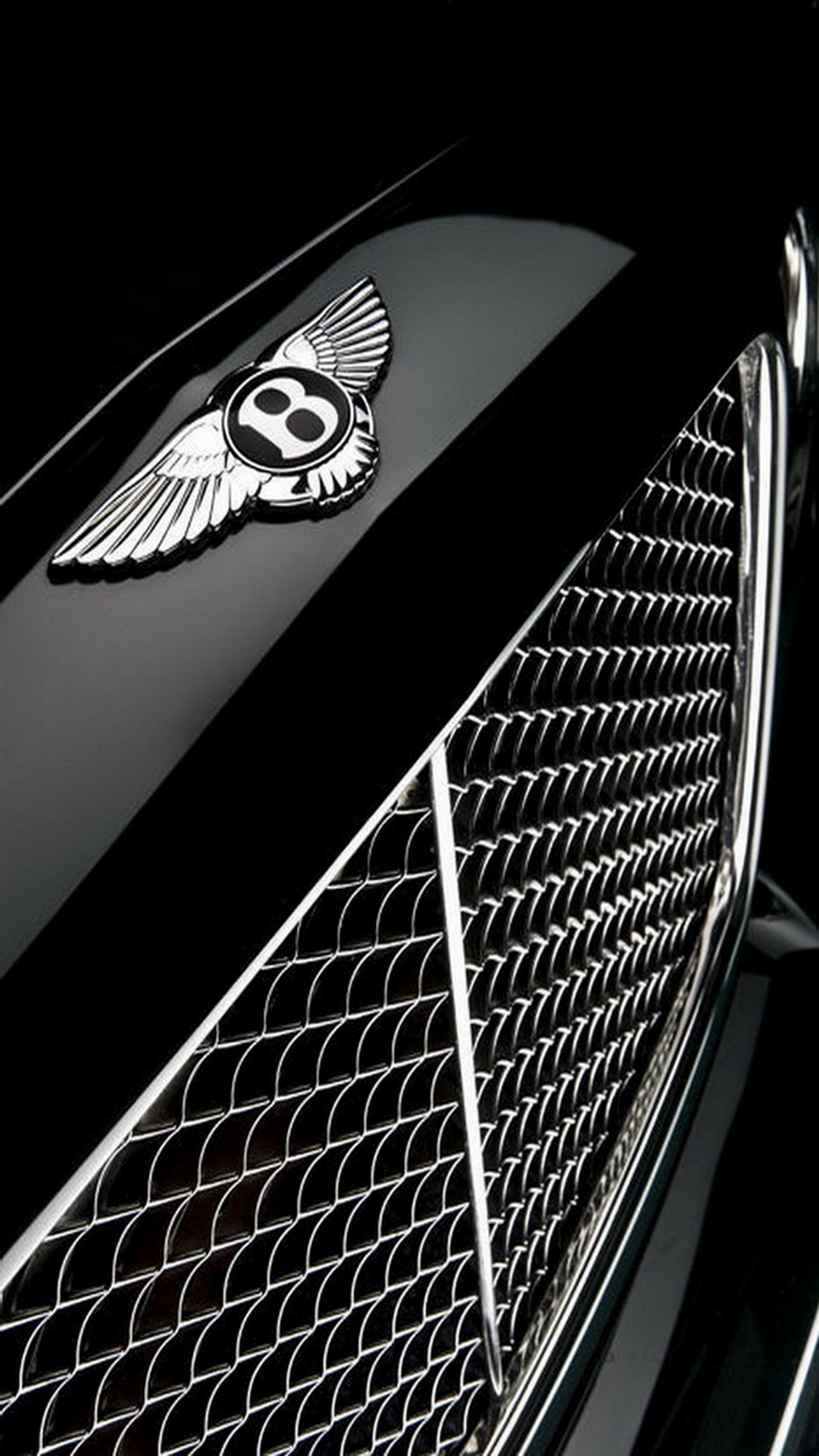 A close up of a bentley logo on a car's grille (bentley, grill)