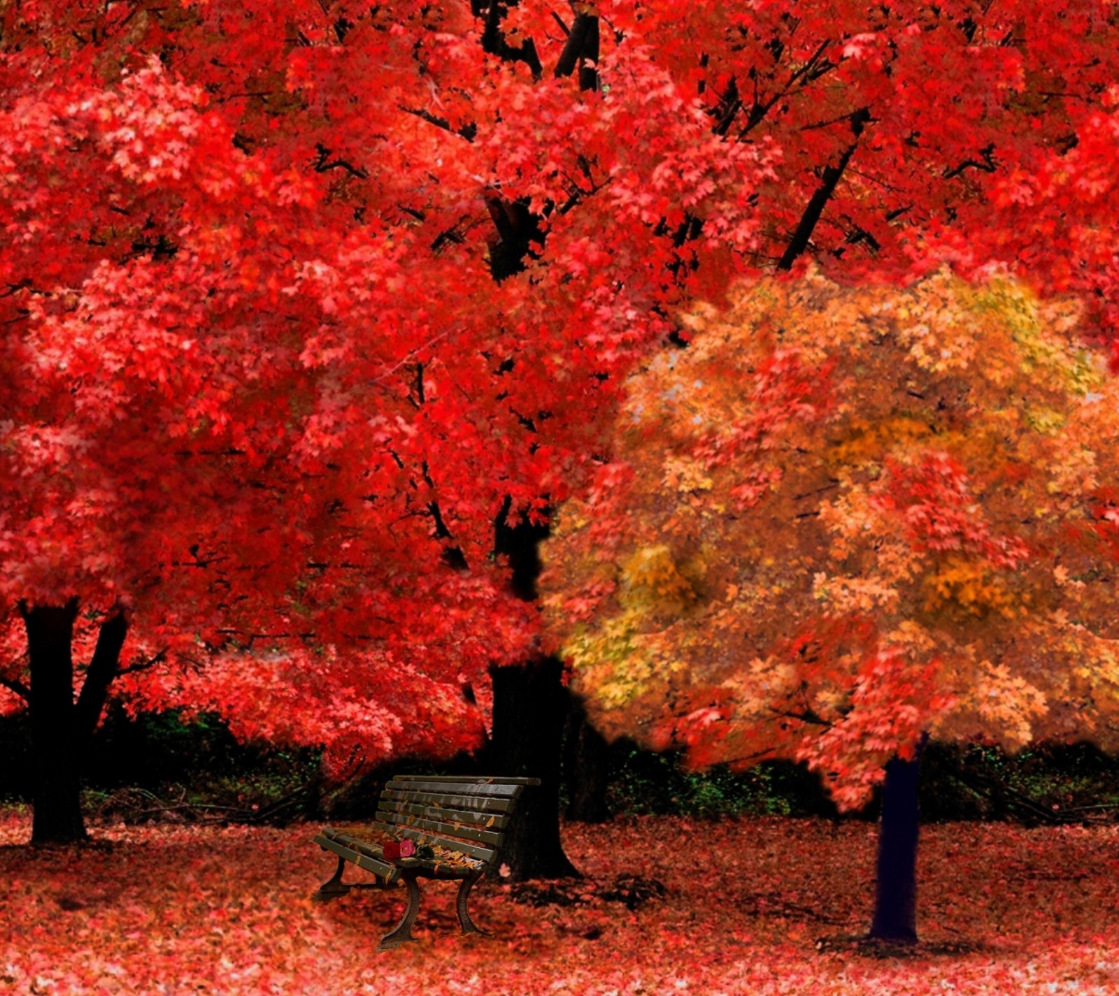 Lade herbst, bank, blätter, natur, park Hintergrund herunter