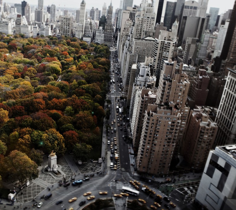 Вид на город с множеством высоких зданий (город, нью йорк, new york, nyc, парк)