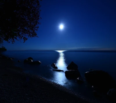 Moonlit Serenity Over Calm Waters