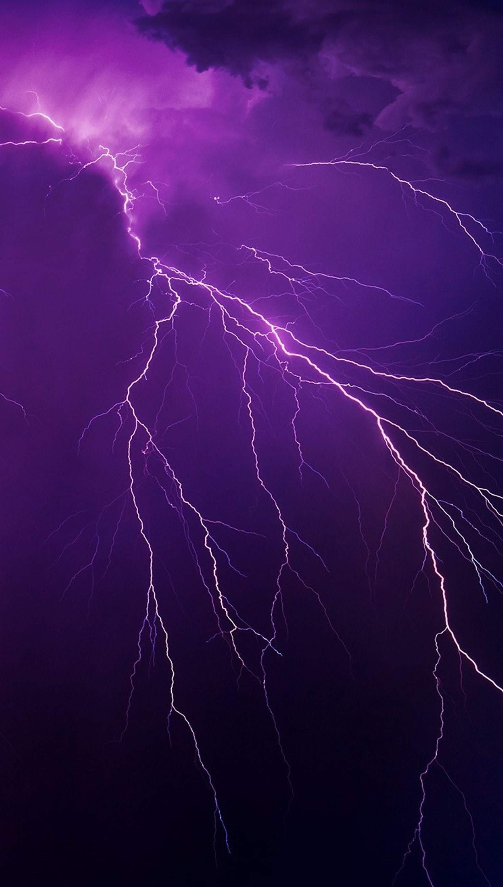 A close up of a lightning storm with a purple sky (city, dark, lightning, nature, night)