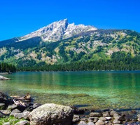 grün, see, berge, bäume, wasser