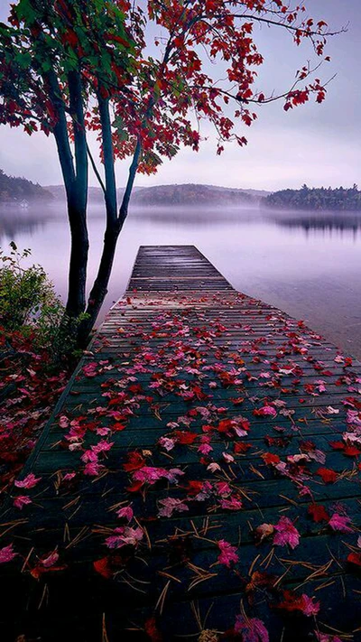 leaf, purple