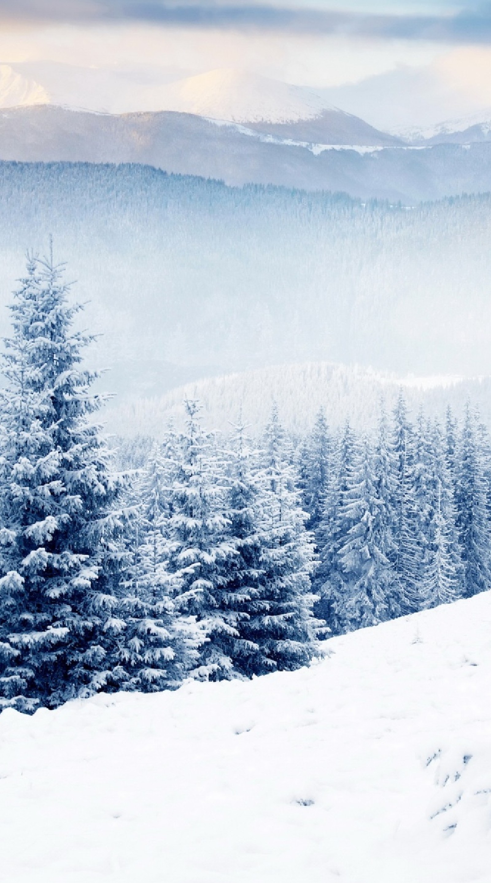 Des skieurs sur une pente enneigée avec des arbres et des montagnes en arrière-plan (paysage, montagne, nature, neige, arbre)