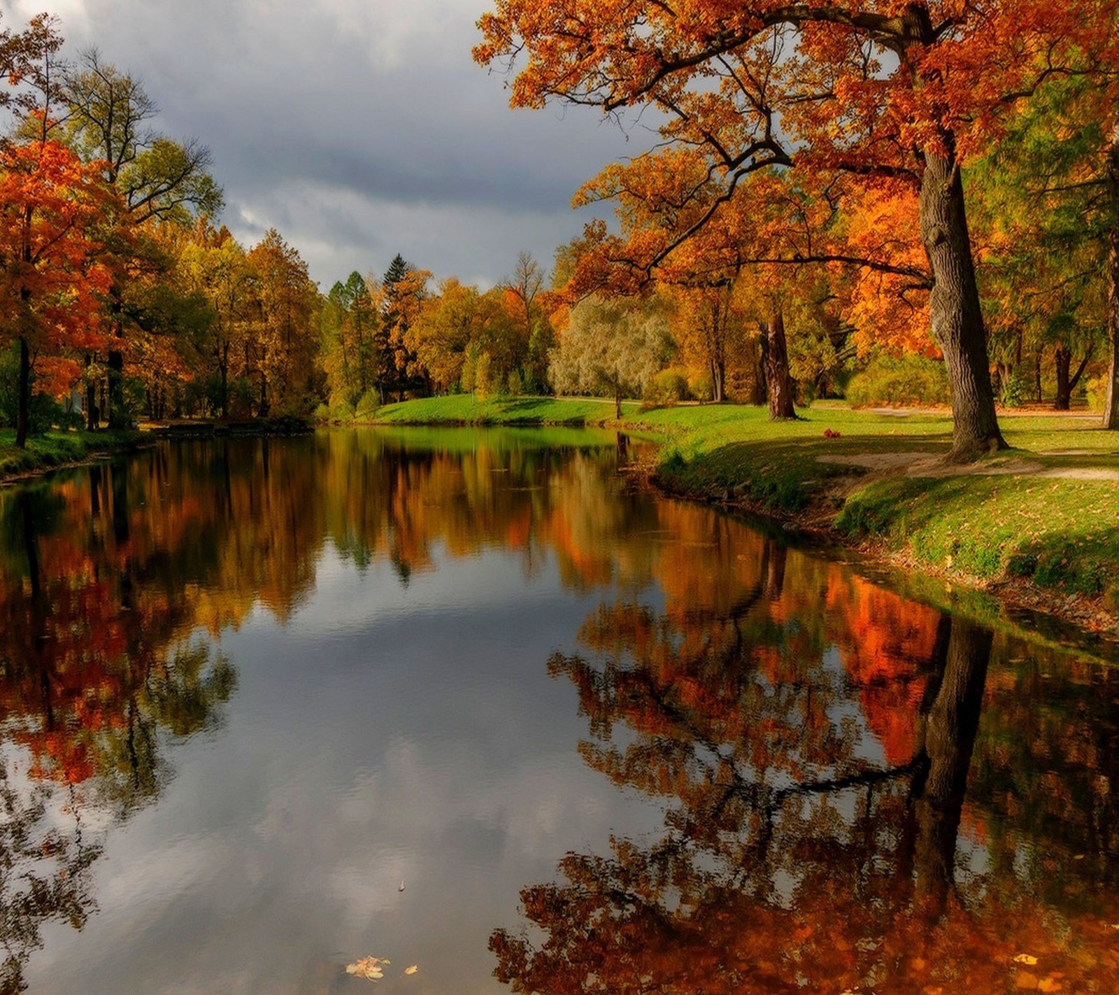 Les arbres se reflètent dans l'eau d'un étang dans un parc (lac, eau)