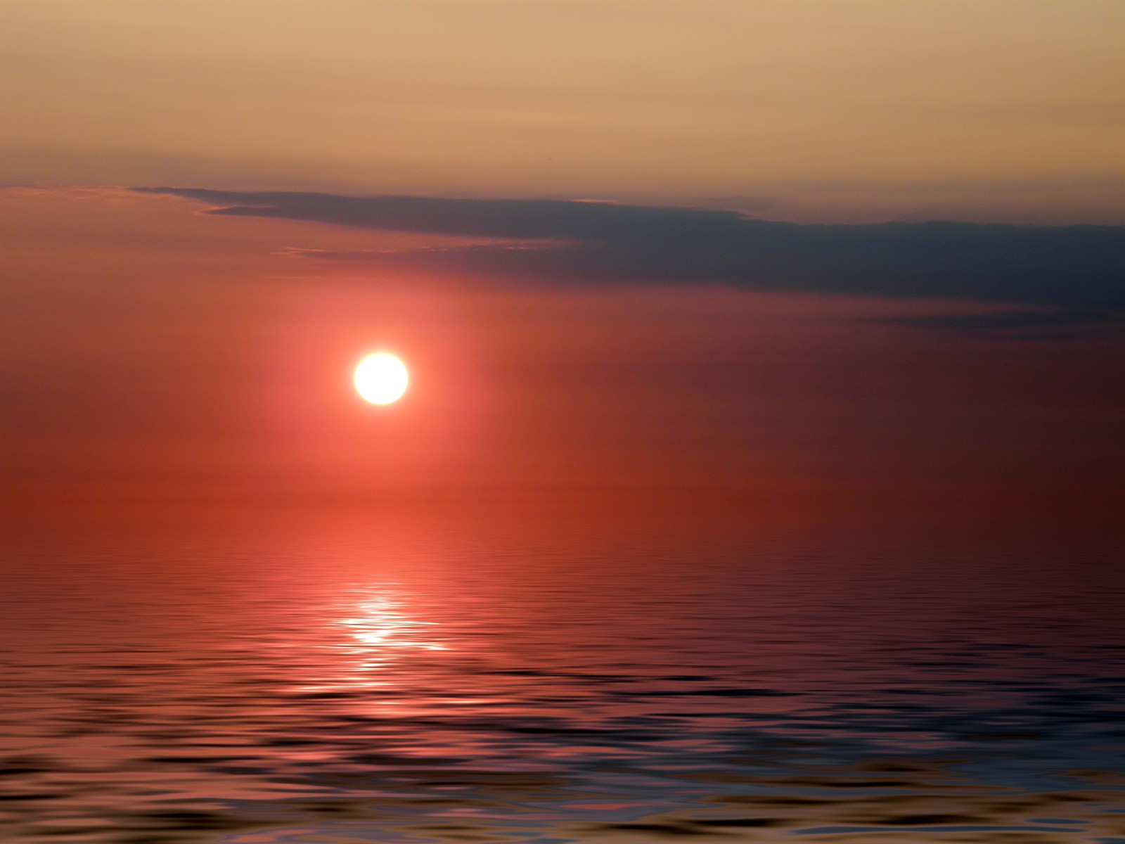 Vista árabe de un atardecer sobre el océano con un pájaro volando a lo lejos (atardecer, noche, horizonte, sol, amanecer)