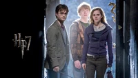 Harry, Ron, and Hermione Stepping into Adventure in Harry Potter 7