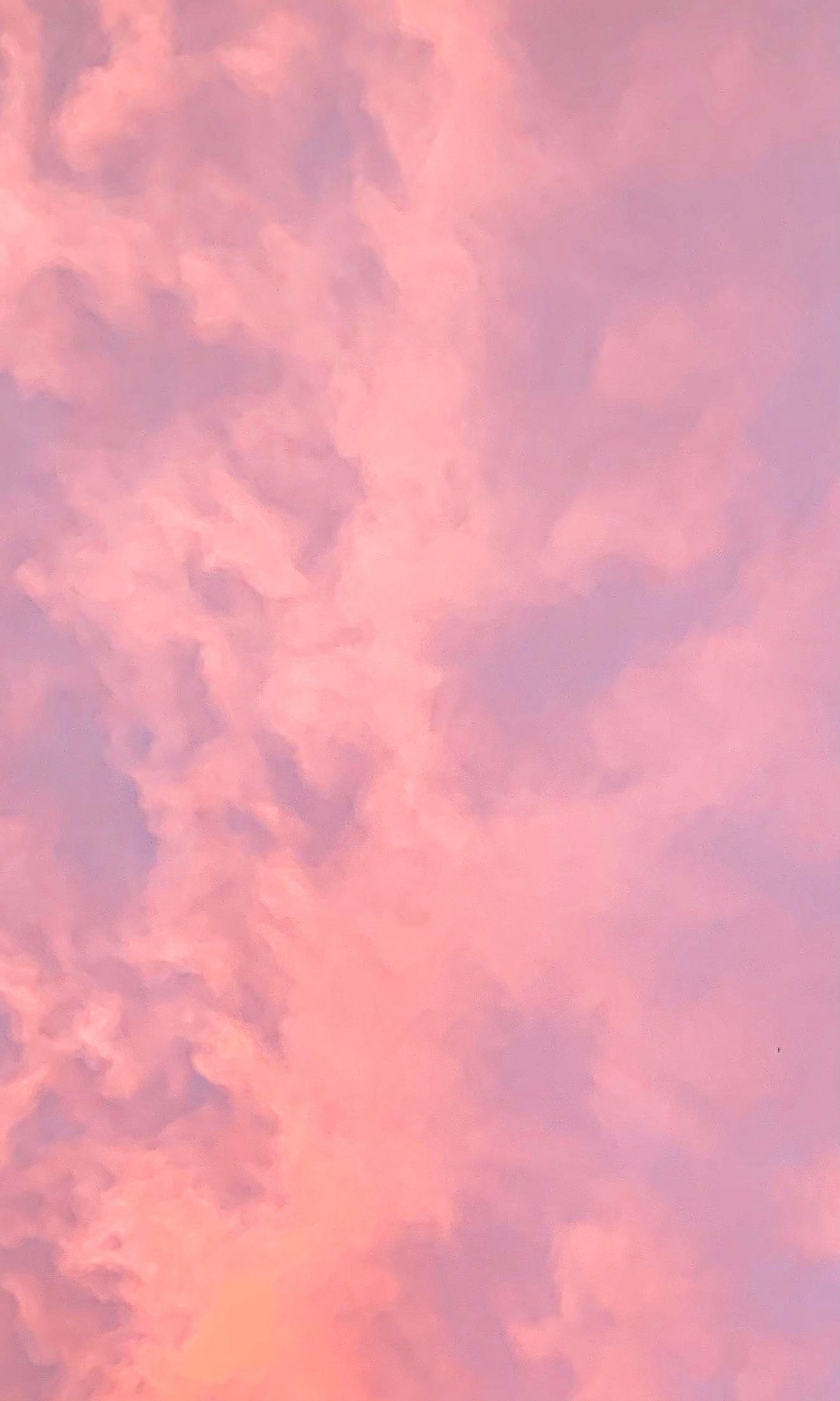 Un avion vole dans le ciel avec un nuage rose (marron, nuage, ambre, rose, crépuscule)