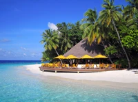 Complexe balnéaire tropical avec des palmiers et des eaux de lagune claires