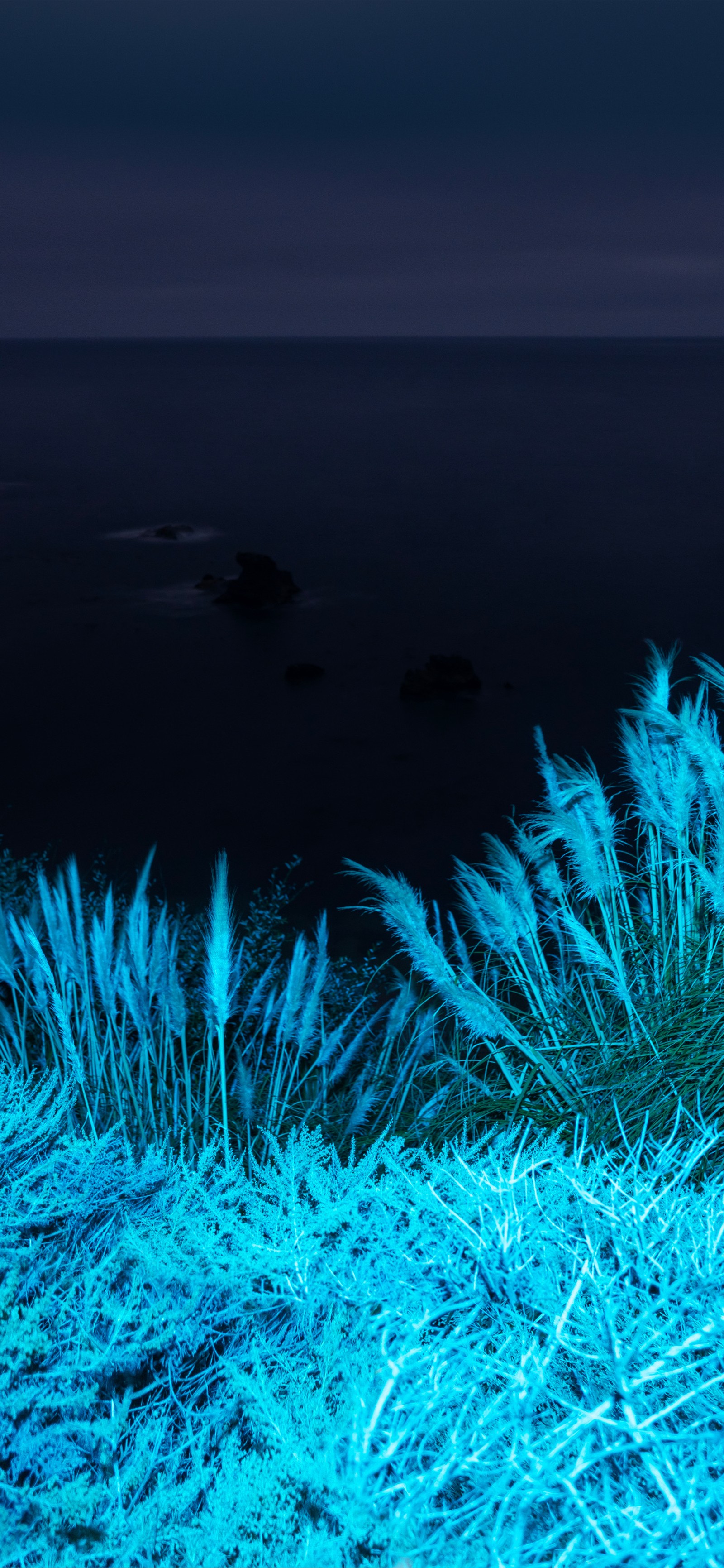 Grassy area with blue grass and a body of water in the background (apple, iphone 12 pro, iphone 12 pro max, iphone xs max, macos big sur)