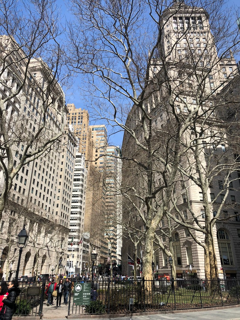 Много людей гуляют по городу в солнечный день (нью йорк, new york city, городская территория, окрестности, архитектура)