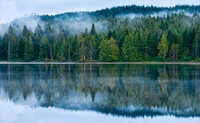 Serener See mit Reflexionen inmitten eines Kiefernwaldes und nebliger Wildnis