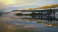 Serener Hochlandsee mit nebligen Bergen und sonnenbeschienenen Bäumen