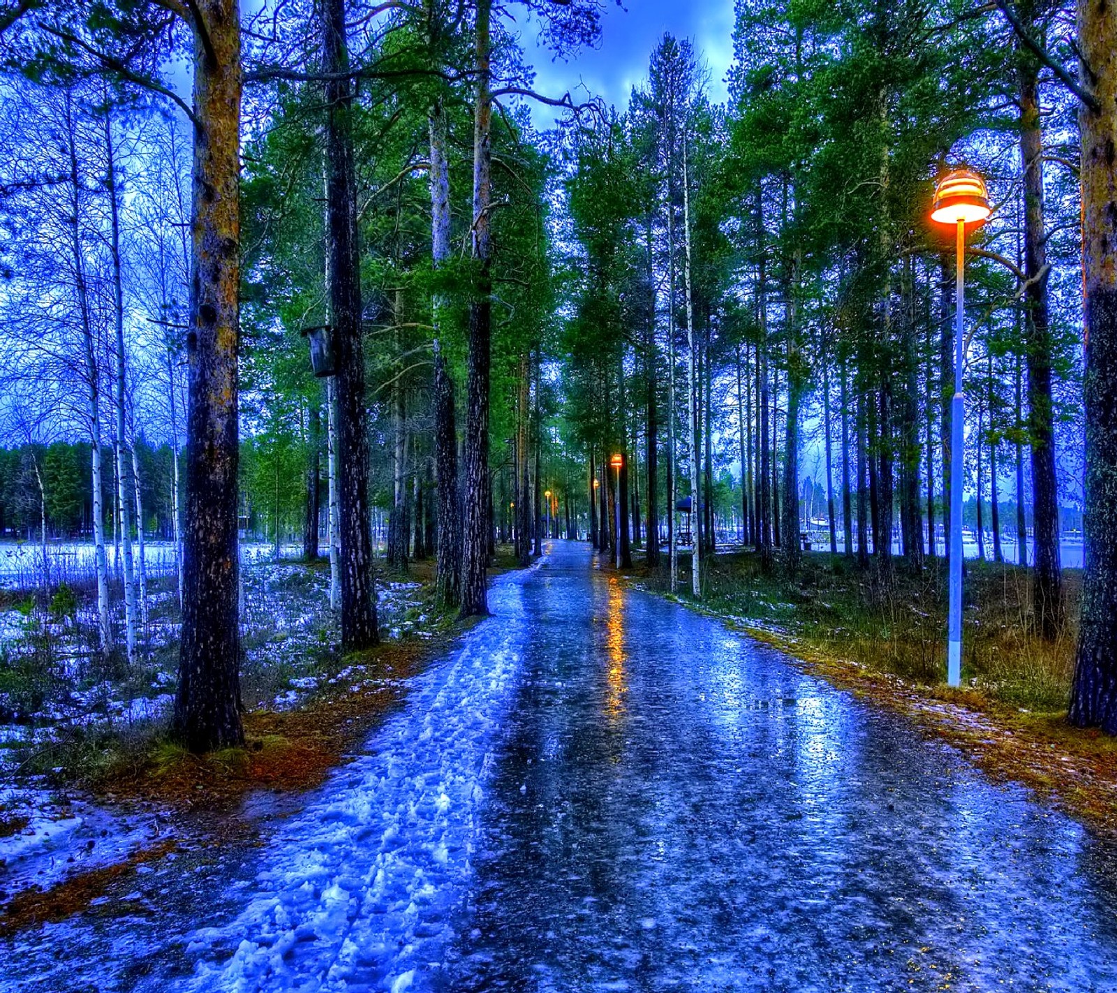 Arafed view of a wet road with a street light in the middle (nature)