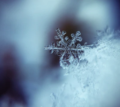 unsplash, remix, winter, snow, ice