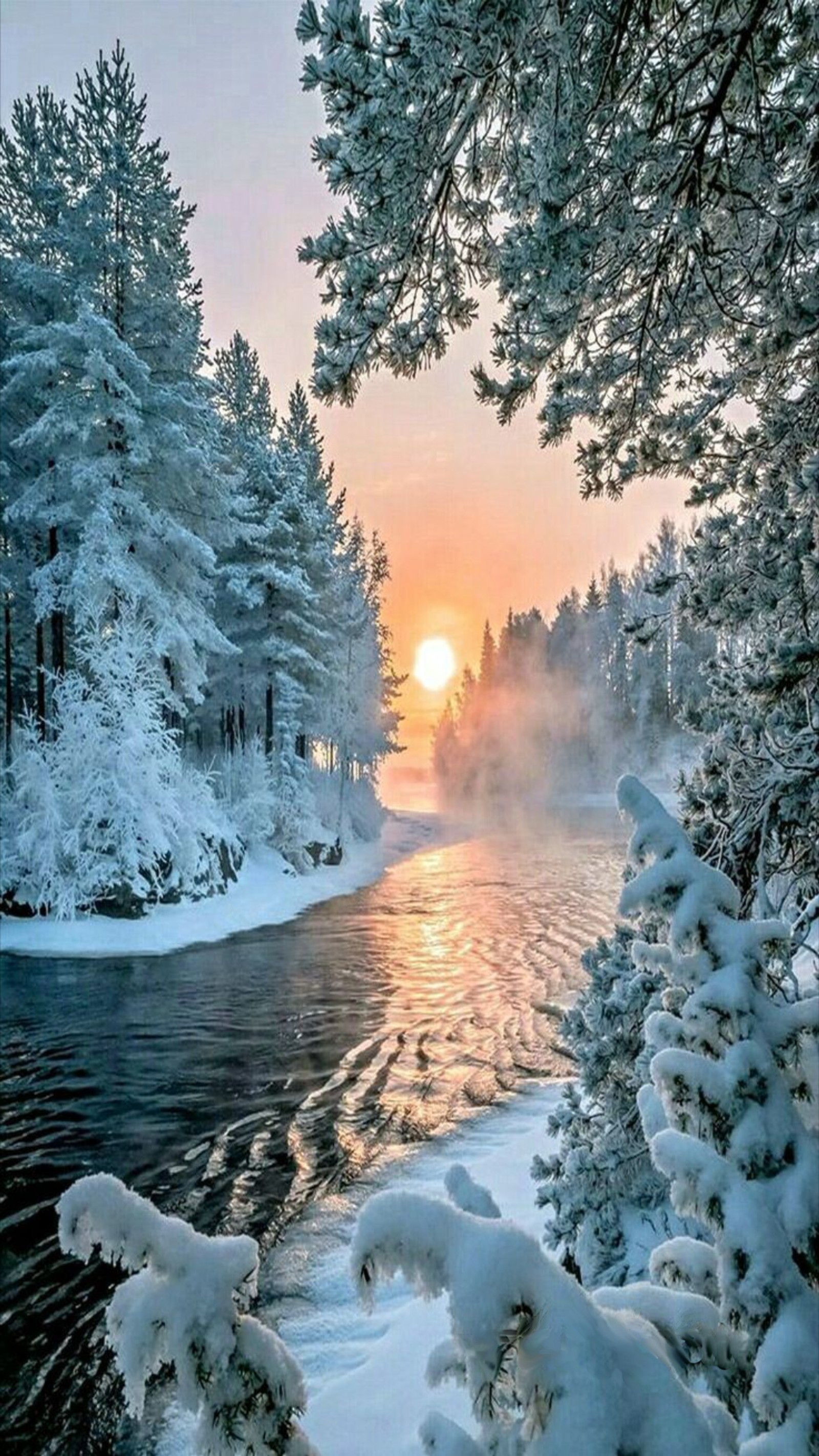 Une rivière au milieu d'une forêt avec de la neige dessus (paysage, nature, flueve, scènes, neige)