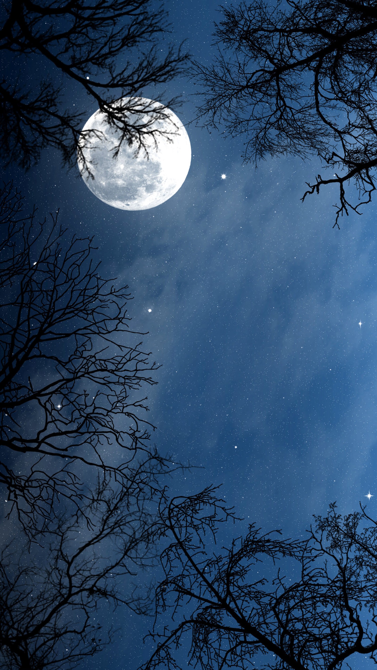 lune, moon, night, nuit wallpaper