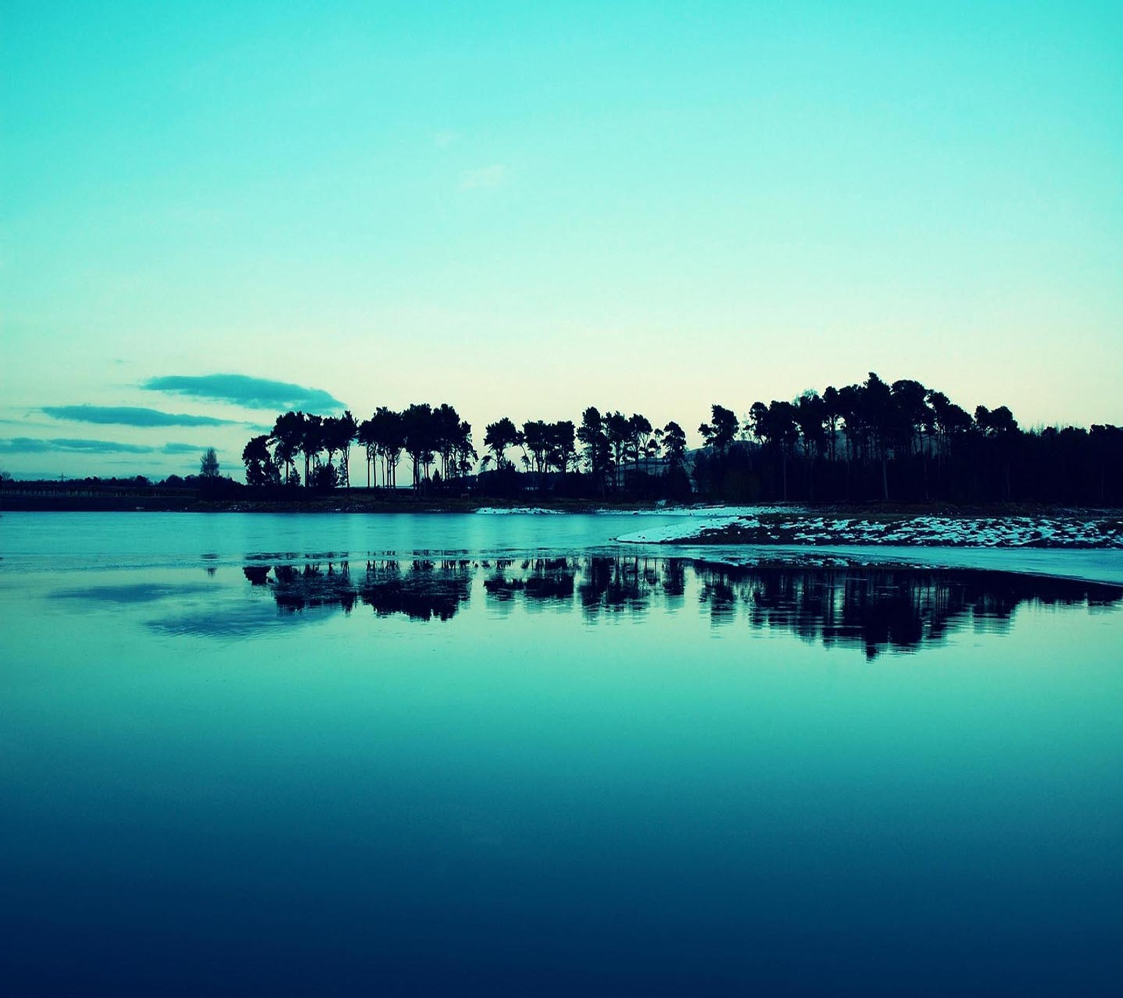 There is a blue sky with a few trees in the background (beautiful, cute, look, nice)