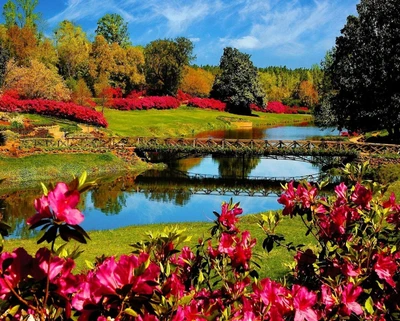 brücke, blumen, wald, see, landschaft