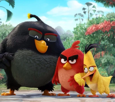 Tolle Angry Birds Trio: schwarze, rote und gelbe Charaktere