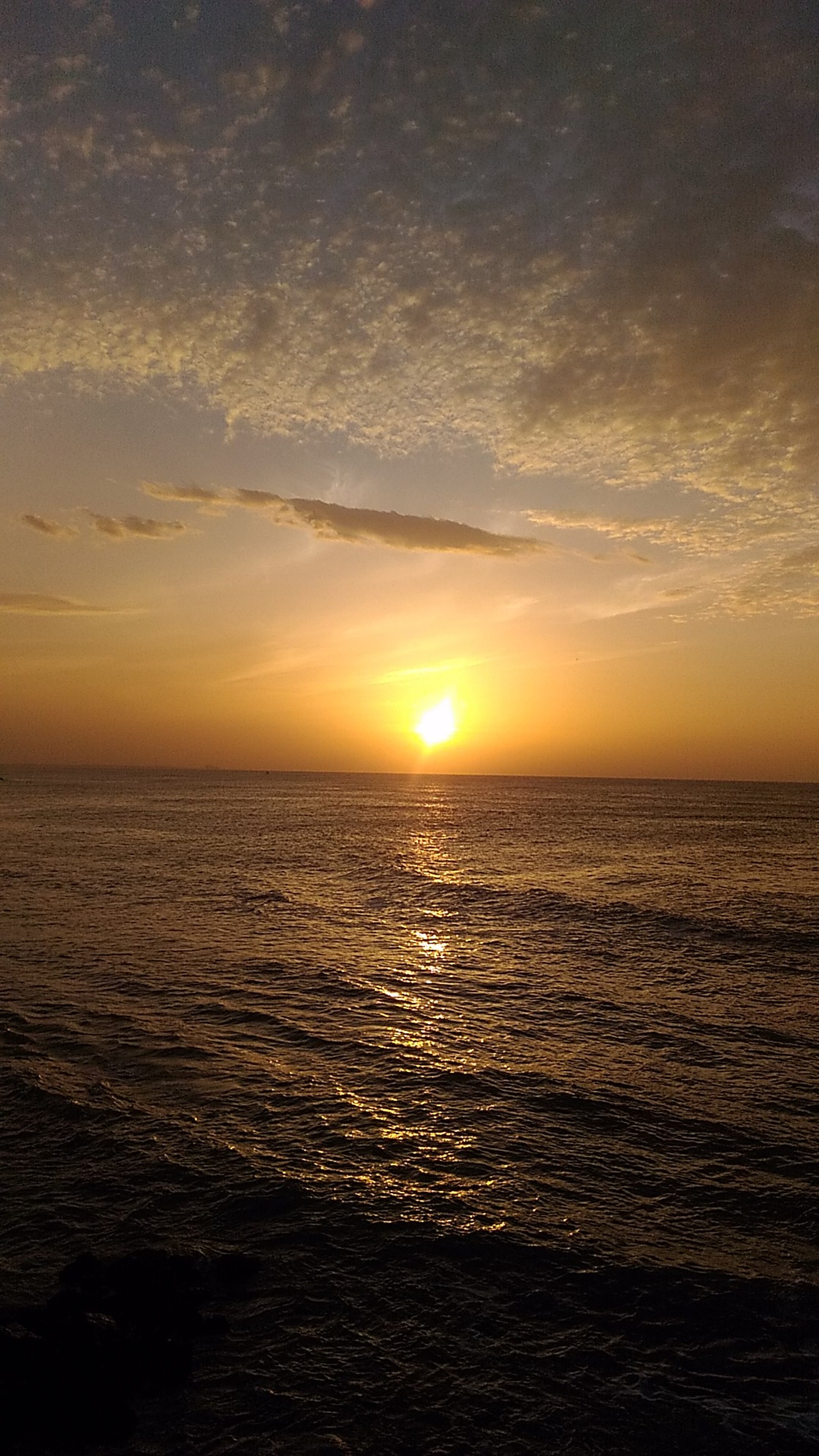 Coucher de soleil arabe sur l'océan avec un oiseau solitaire volant dans le ciel (kanyakumari, lever de soleil, tamil nadu, tamilnadu)