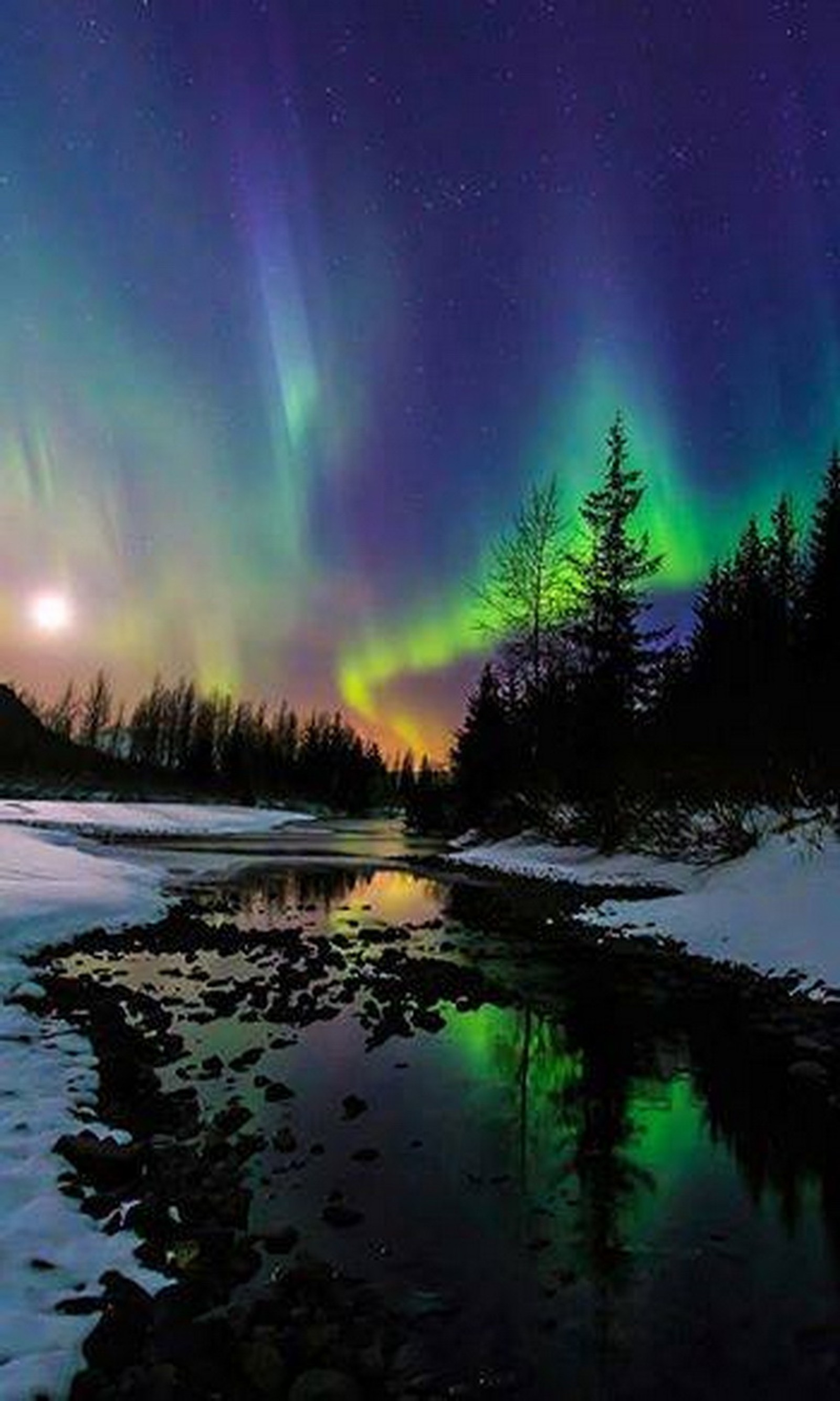 Leuchtend gefärbte nordlichter über einem fluss im wald (alaska, aurora, farben, moon set, himmel)