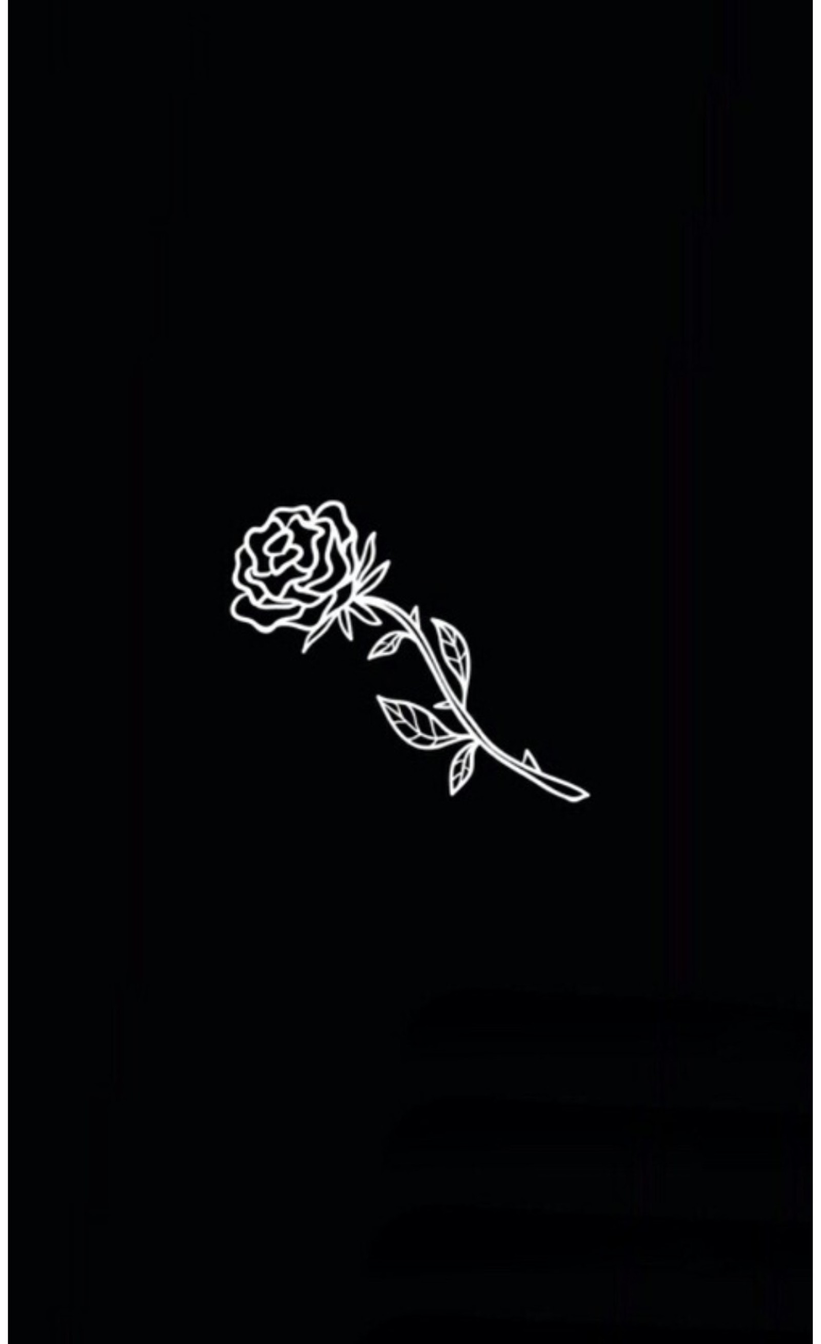 Una foto en blanco y negro de una rosa sobre un fondo negro (negro, rosa)