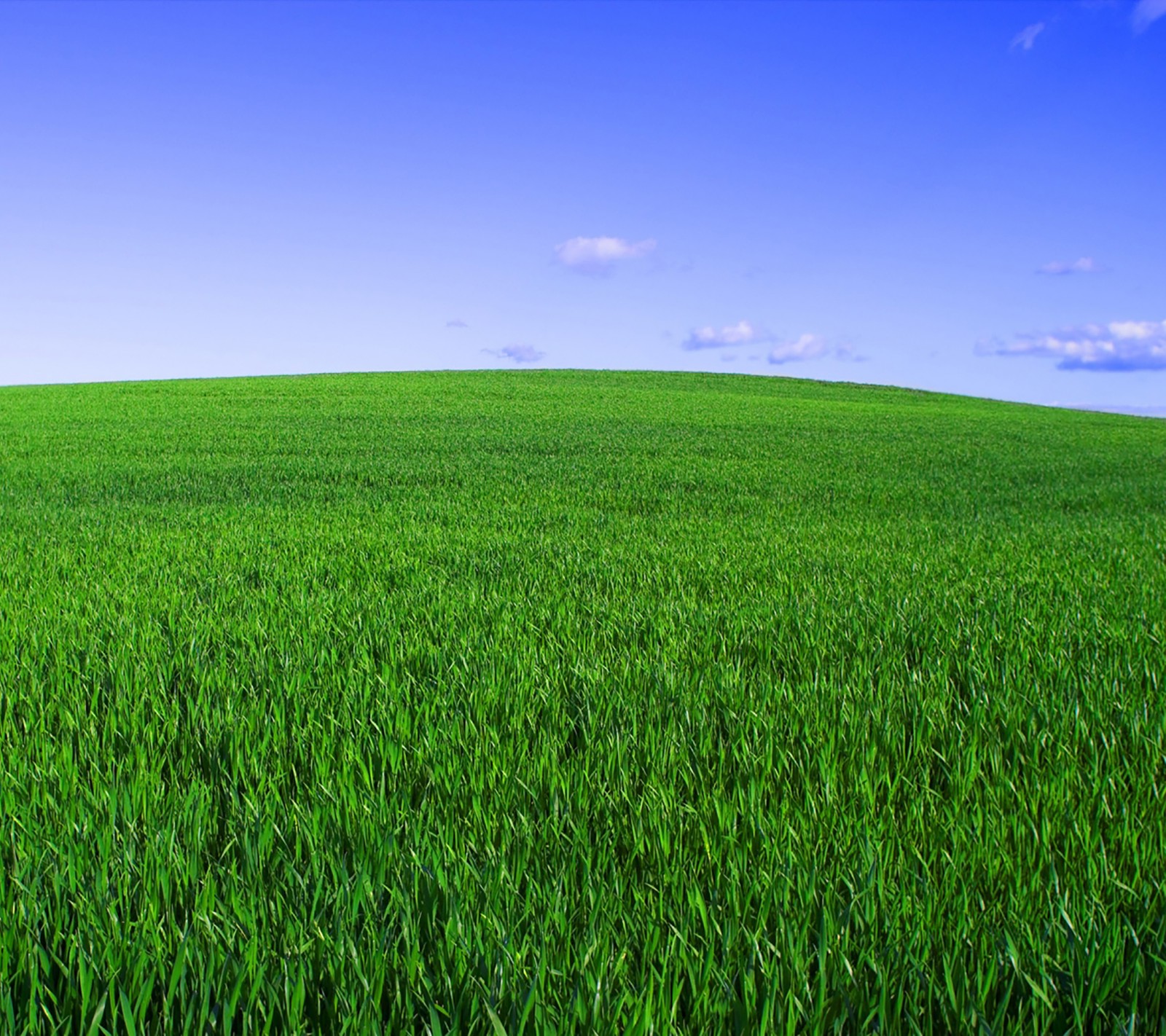 Un gros plan d'un champ d'herbe avec un ciel bleu en arrière-plan (galaxie, herbe, nature, nouveau, samsung)