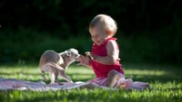 Fröhliche Spielzeit: Baby und Mopswelpe auf dem Rasen