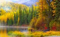 Herbstliche Gelassenheit: Lebendige Blätter, die sich in einem ruhigen See im Banff-Nationalpark spiegeln