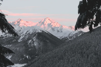 Majestuosos Alpes al amanecer: Picos cubiertos de nieve iluminados por el suave resplandor del amanecer.