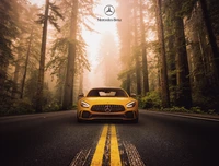 mercedes benz amg gt r, sports coupe, forest, road, 5k