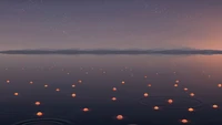 Réflexions tranquilles du soir sur une surface d'eau sereine