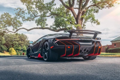 Lamborghini Centenario: Um supercarro preto impressionante com ousados acentos vermelhos, exibindo seu design aerodinâmico sob uma árvore iluminada pelo sol.