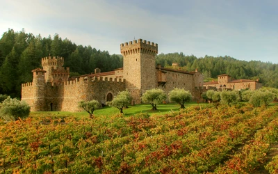 Château médiéval entouré de vignobles dans un paysage rural