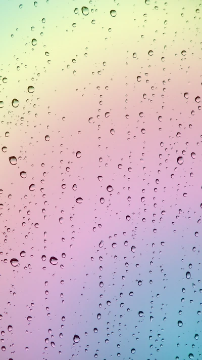 glass, rain, rainbow